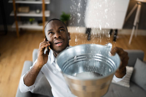 Best Water damage restoration near me  in Manning, IA