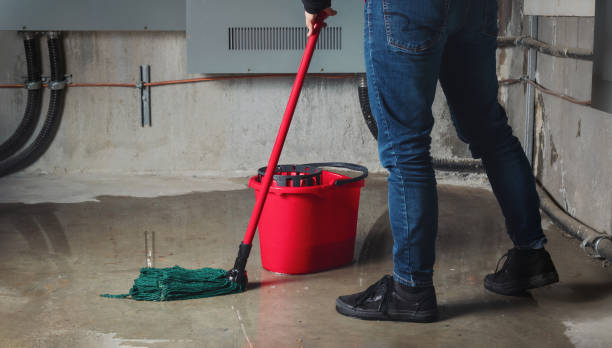 Best Professional water damage repair  in Manning, IA