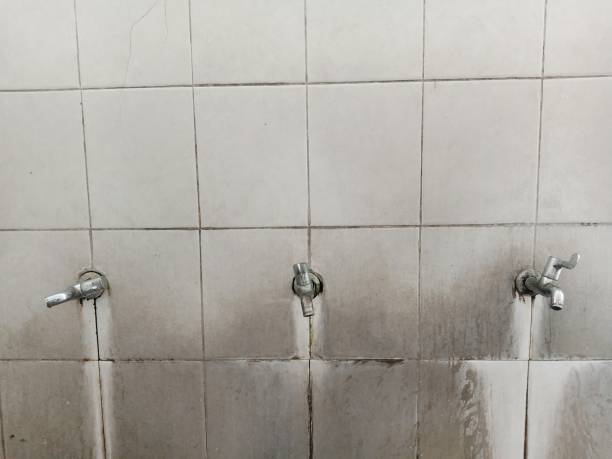 Best Emergency water damage restoration  in Manning, IA