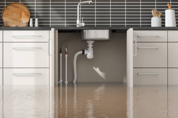 Best Water damage restoration services  in Manning, IA