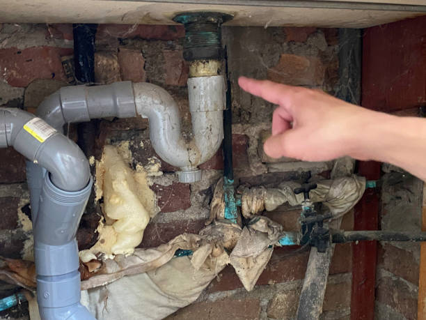 Best Basement water damage restoration  in Manning, IA
