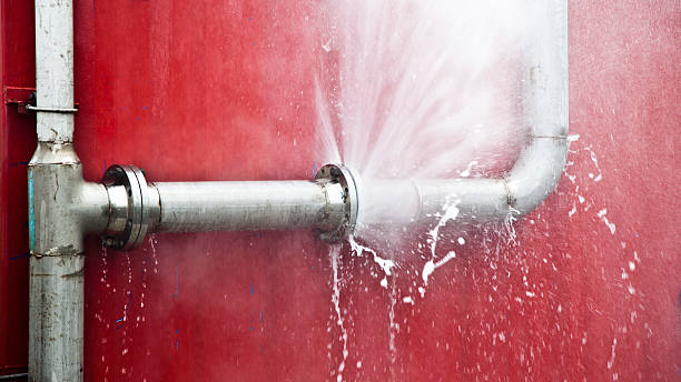 Best 24/7 water damage repair  in Manning, IA
